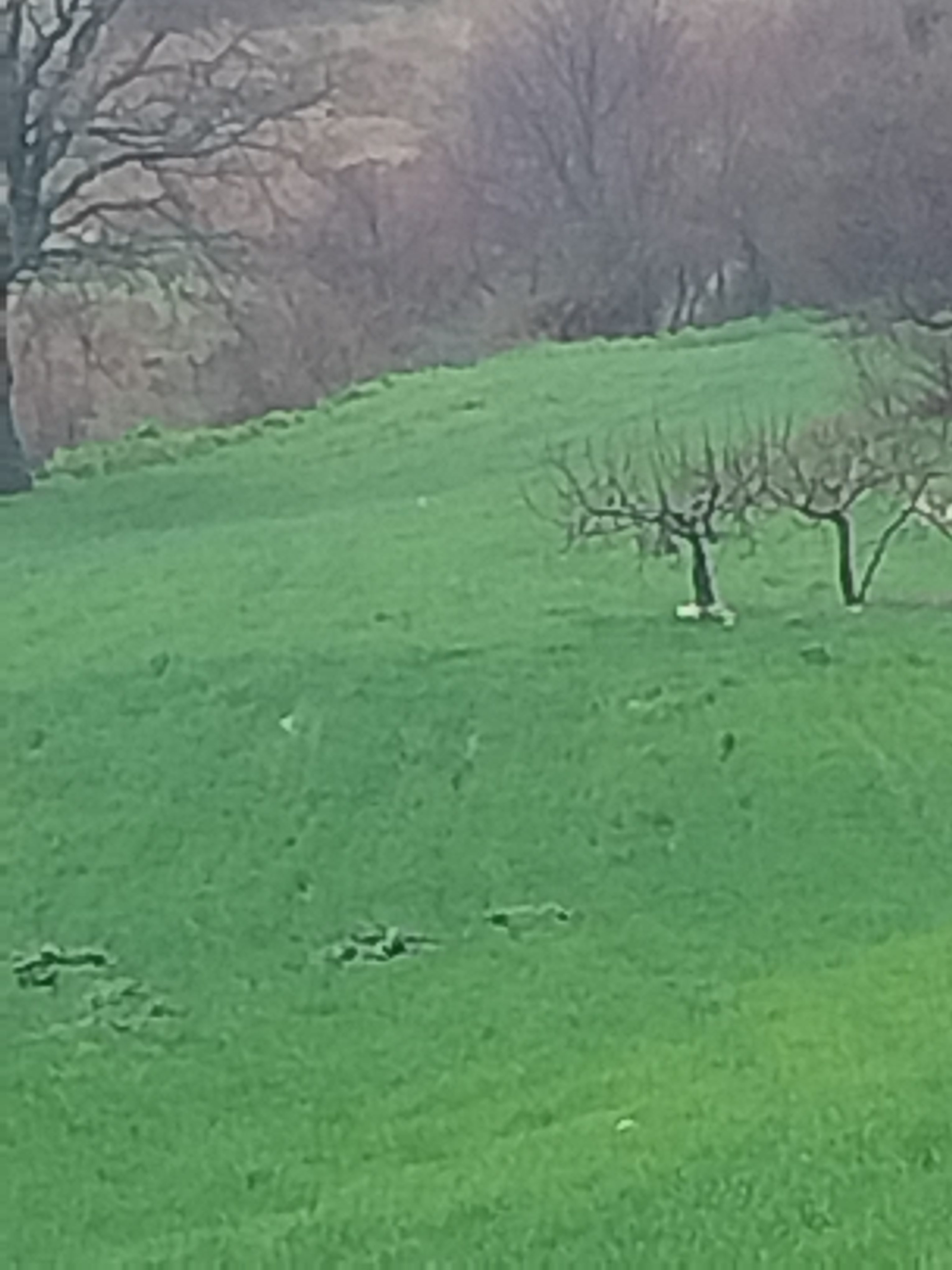 Info su Qualità e miglioramenti